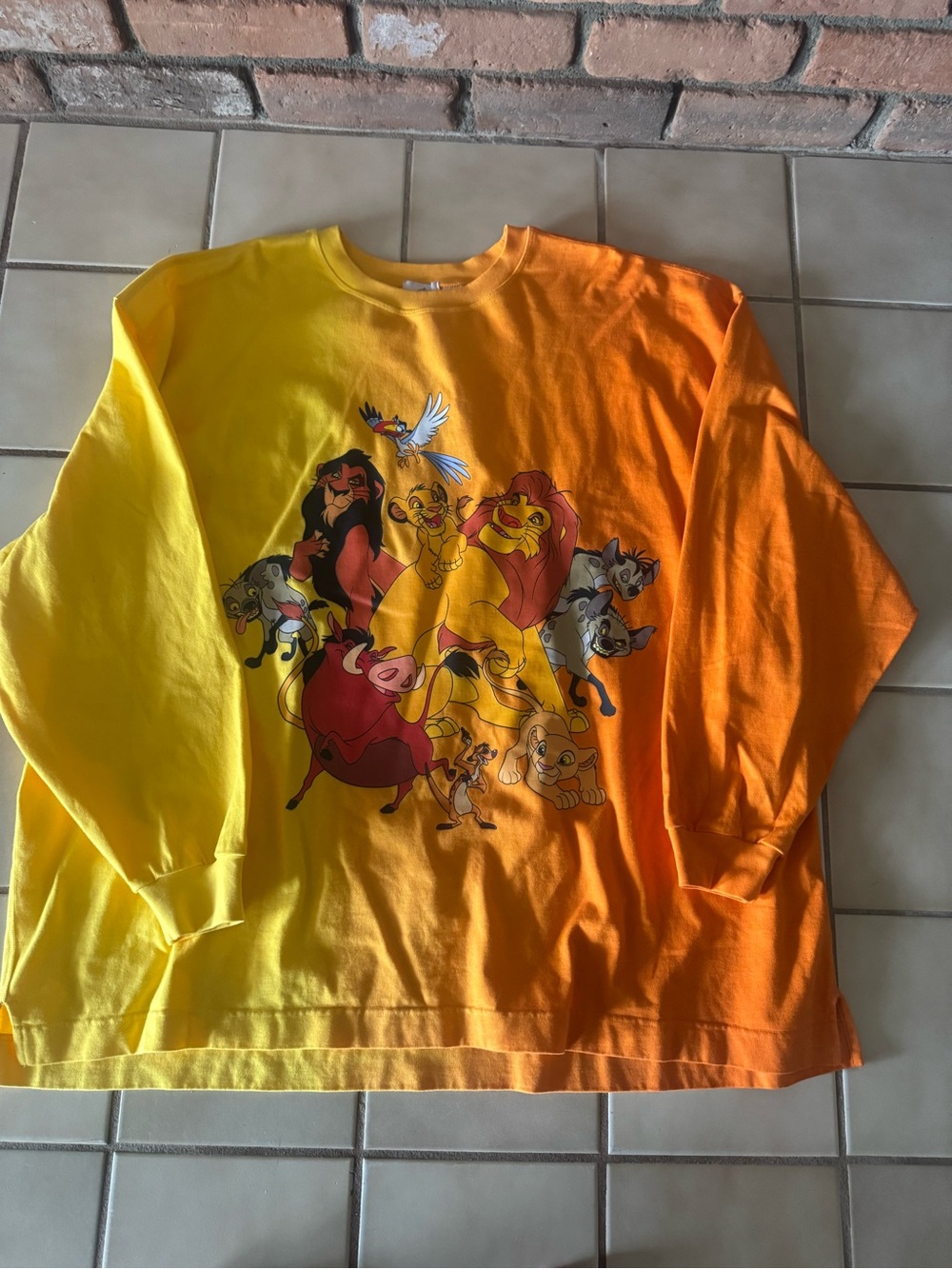 Disney Parks Lion King Colorblock Jersey – NWT